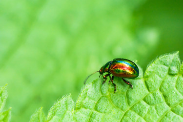 Similar image 11474206