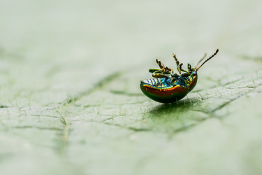 Similar image 11474207