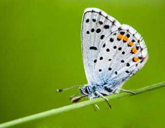 Similar image 11474208