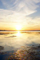 Similar image 11472794