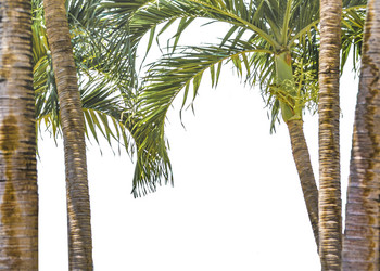 Similar image 11498053