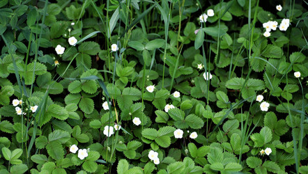 Similar image 11472778