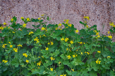 Similar image 11472779