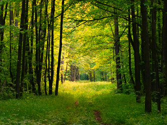 Similar image 11472882