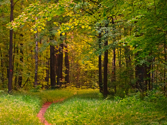 Similar image 11472884