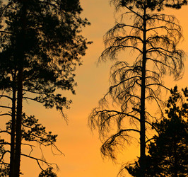 Similar image 11472888