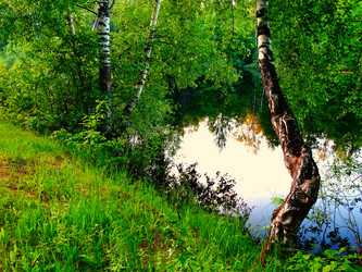 Similar image 11472889