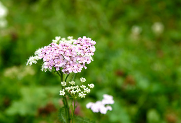 Similar image 11473026