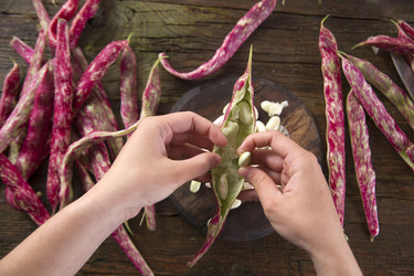 Similar image 11473411