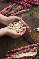 Similar image 11473413