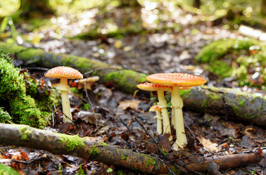 Similar image 11473027