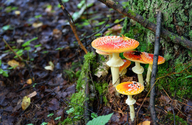 Similar image 11473029