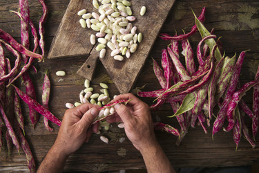 Similar image 11473433