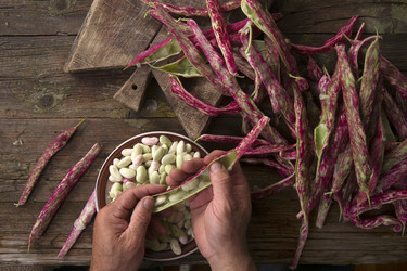 Similar image 11473434