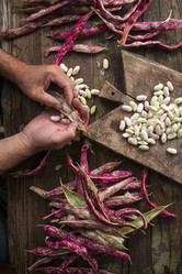 Similar image 11473435