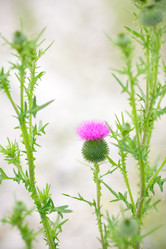 Similar image 11489036