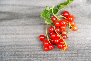 Similar image 11473031