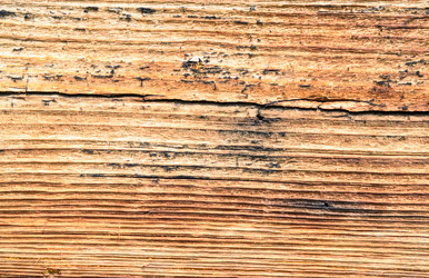 Similar image 11473032