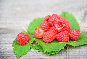 Similar image 11473035