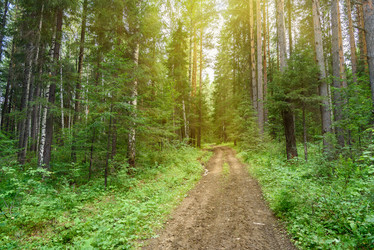 Similar image 11473052