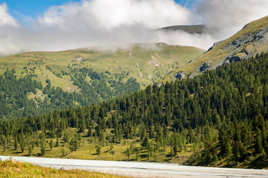 Similar image 11472968