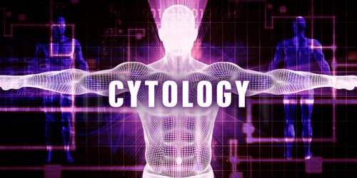 Similar image 11478047