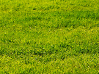 Similar image 11477033