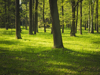 Similar image 11477034