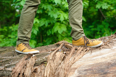 Similar image 11474240