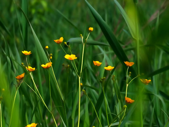 Similar image 11474161