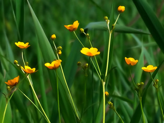 Similar image 11474162