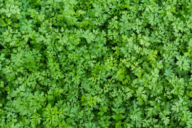 Similar image 11474346