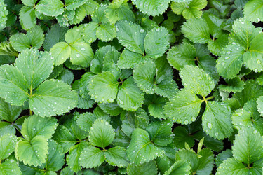 Similar image 11474347