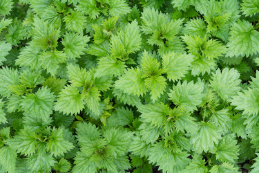 Similar image 11474348