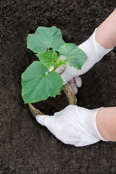 Similar image 11474349