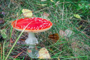 Similar image 11474286