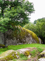 Similar image 11474417