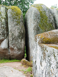 Similar image 11474418