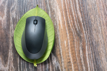 Similar image 11474327