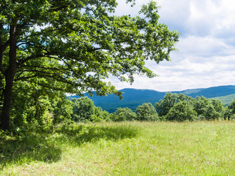 Similar image 11474430