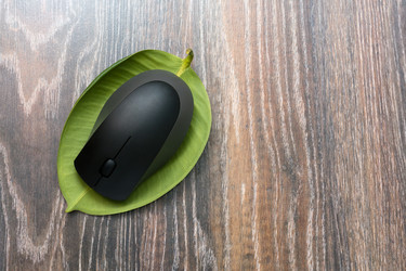 Similar image 11474329