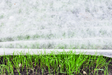 Similar image 11474469