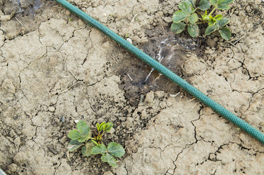 Similar image 11474308