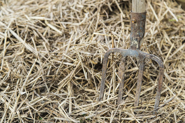 Similar image 11474312