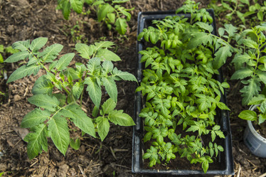 Similar image 11474313