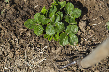 Similar image 11474334