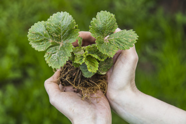 Similar image 11474339