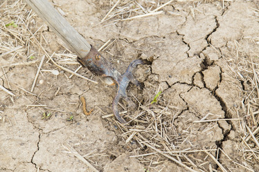 Similar image 11474340