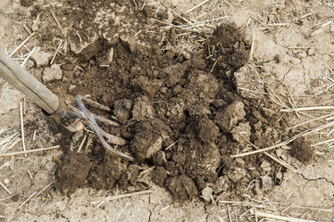 Similar image 11474341