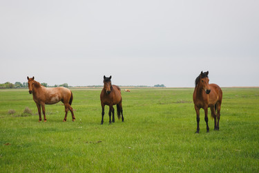 Similar image 11492931